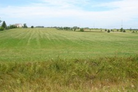 Beykoz'da 5 milyon 184 bin TL'ye satılık arsa!