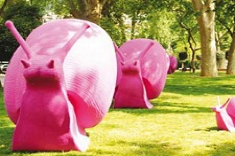 Pembe salyangozlar Bebek Parkı'na geldi