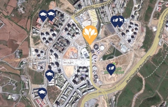 Kuzey Yakası Cadde Dükkanları 12 soruda tüm detaylarıyla!