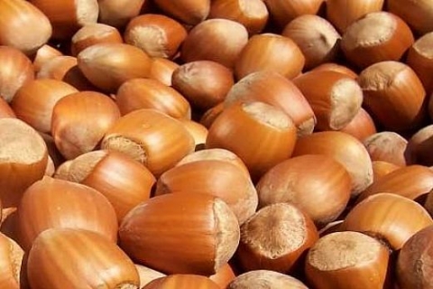 Toprak Mahsulleri Ofisi'nden kiralık 30 fındık deposu!