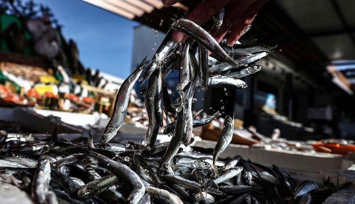 Kilosu 50 TL oldu! Daha da zamlanmadan alın