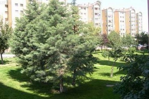 Ankara'da Elvankent Evleri'nde 25 kilo TNT patlayıcı bulundu!