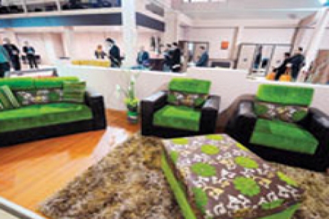 Kriz, mobilyacının hızını kesemedi