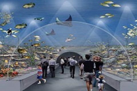 Dünyanın 3. büyük akvaryumu nisanda İstanbul'da açılıcak!