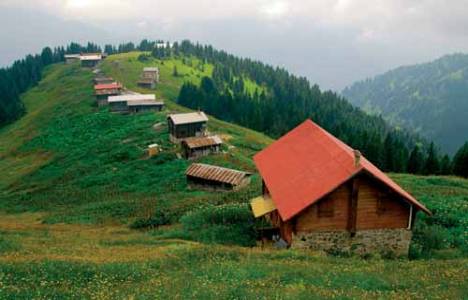  Pokut Yaylası evleri, doğa tutkunlarına poz veriyor!