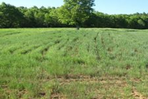 Antalya Büyükşehir Belediyesi'nin 3 dönümlük arazisine haciz