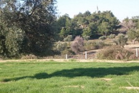 Alanya'da icradan 2 milyon 247 bin TL'ye satılık tarla ve ev!