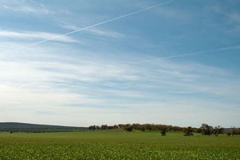 Ordu Defterdarlığı'ndan Gülyalı'da 49 yıllığına iki tarla! 890 bin TL'ye!