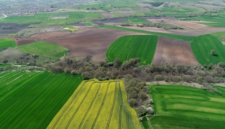 İki belediye ihaleyle 34 arsayı satışa çıkarıyor! İşte fiyatları dudak uçuklatan o arsalar...