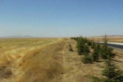 Eskişehir Büyükşehir Belediyesi'nden satılık 5 arsa!