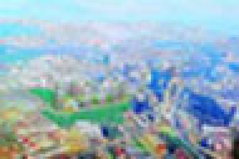 1 milyon dolara tamirhane