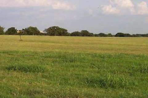 Mersin'de 1 milyon TL'ye icradan satılık iki tarla!