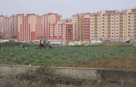 TOKİ Muğla Kavaklıdere'de 94 adet konut ihalesi 22 Nisan'da!