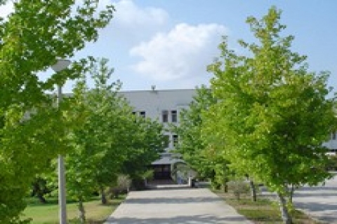 Antalya'da Özmak Gıda binası 1.2 milyon TL 'ye icrada!