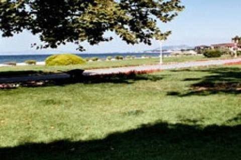 Yalova 'daki TİGEM arazileri satışa çıkacak!