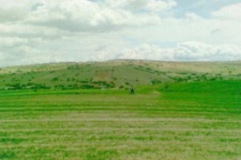 Antalya'da 366 bin TL'ye satılık 2 taşınmaz!