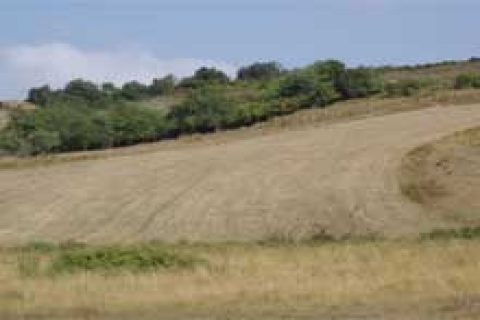 Gaziantep Büyükşehir Belediyesi gayrimenkul satacak