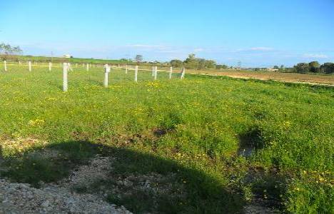 Çatalca Belediye Başkanlığı'ndan 8.6 milyon TL'ye satılık arsa! 