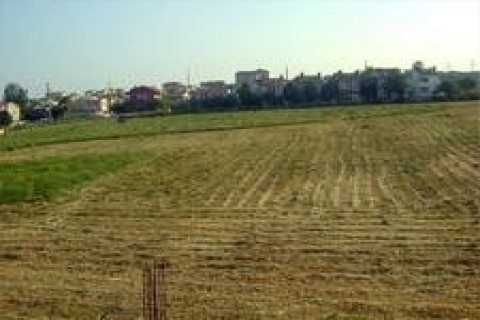 2B arazileri ile ilgili düzenleme, Ekim'den sonra Meclis'te!