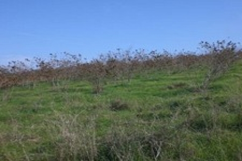 Kurtköy'de 16 milyon dolara satılık arsa!