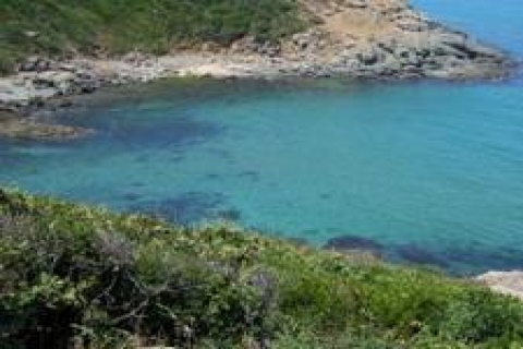 Yapı Kredi Koray'dan Beykoz'da satılık arsalar!