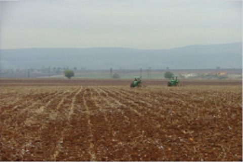Tarım alanlarına yağmur darbesi