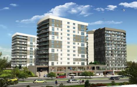 Serenity Halkalı fotoğrafları , resimleri , görselleri !