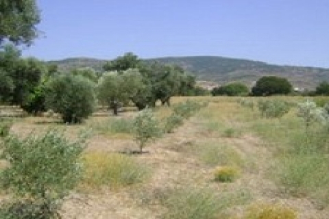 Zonguldak'ta icradan satılık 10 taşınmaz! 2 milyon 201 bin TL'ye!