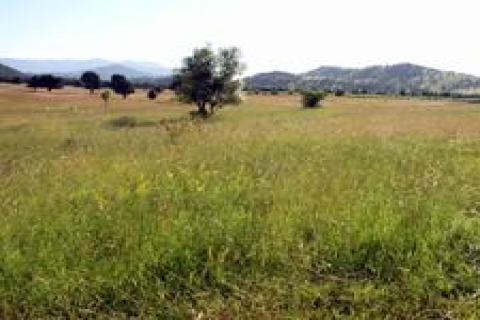 Vakıflar'dan Trabzon'da 46 kiralık gayrimenkul