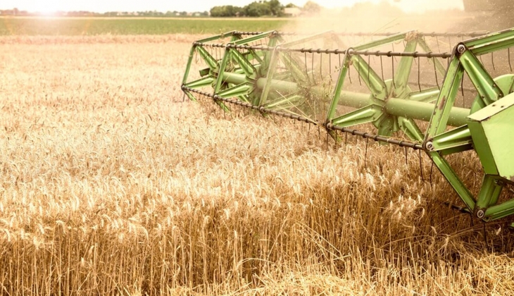 Buğday fiyatları en az 15.50 TL! Çiftçiler şimdi rakamlara bakın!