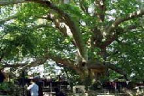 Bursa İnkaya Köyü turizm merkezi olacak