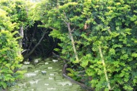 İstanbul Defterdarlığı'ndan kiralık 2 tarla!