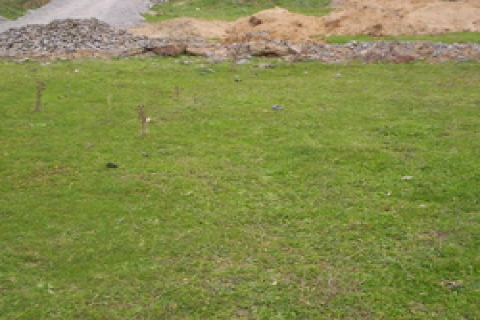 İstanbul'daki 10 Karayolları arazisi satışa çıkacak