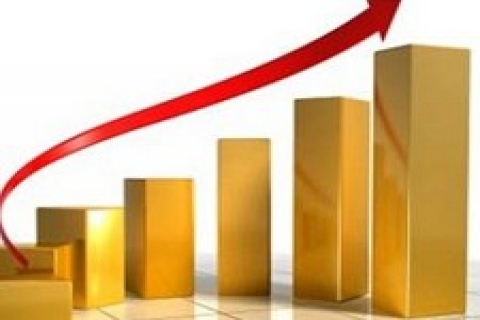 Ebrar Yıldız, Citi Yapı İnşaat şirketi 'ni kurdu!