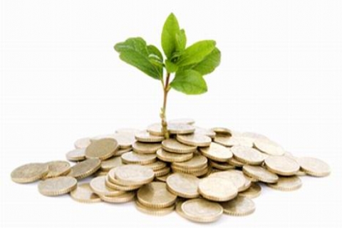 ILO'nun Yeşil Ekonomi Raporu: 60 milyon istihdam yaratılacak!