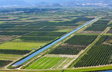Arazi toplulaştırmasının faydaları nelerdir?