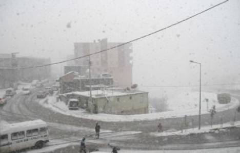  Şırnak Beytüşşebap'ta 43 köy yolu ulaşıma açıldı!