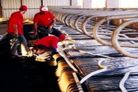 İşbir, ineklerin altına yatak seriyor!