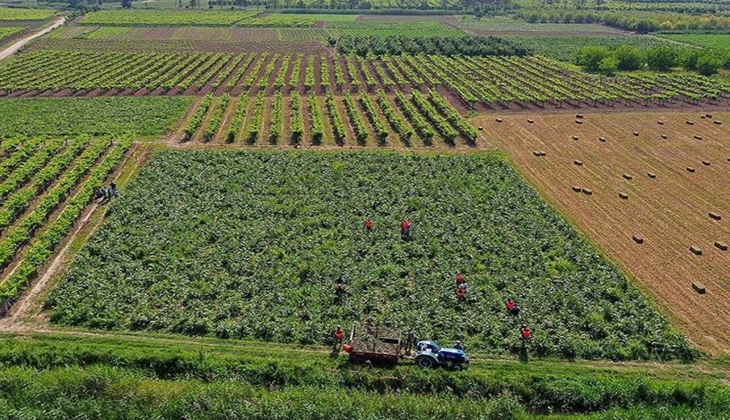 Çiftçiler dikkat! Son dakika buğday fiyatları açıklandı! İşte 10 Mayıs 2022 arpa, buğday, mısır fiyat listesi