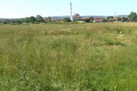 Milli Emlak'tan Zonguldak'ta satılık tarla!