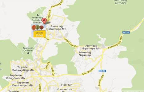 Dekon Silva ulaşım haritası! Telefon ve adres bilgileri!