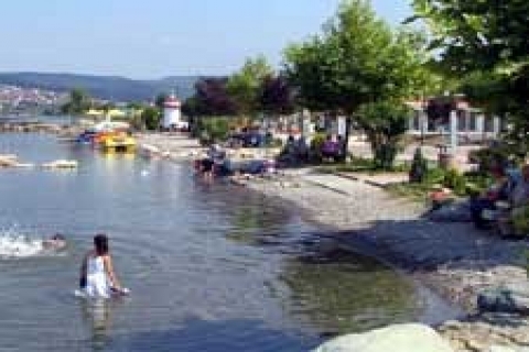 Sapanca ve Geyve 'de 49 yıllığına 2 arazi!