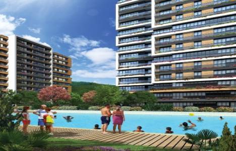 Vadistanbul turu! 15 karede!