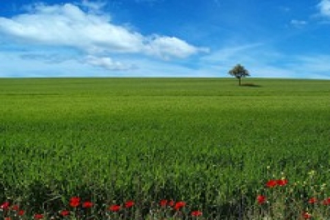 Vakıflar 3 ilde 41 gayrimenkulü kiraya verecek!