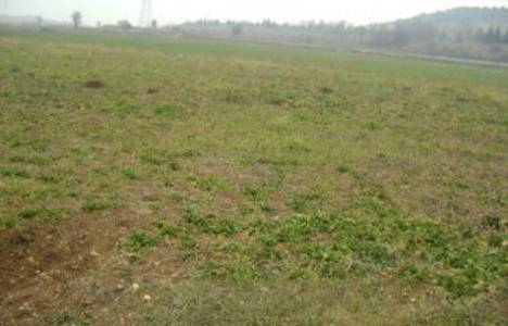 Bursa'da satılık arsa: 1 milyon 22 bin 784 liraya!