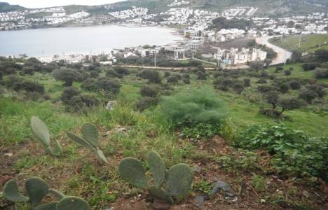  Bodrum'da 16 milyon TL'lik arsa ihalesi 4 Şubat'ta! 