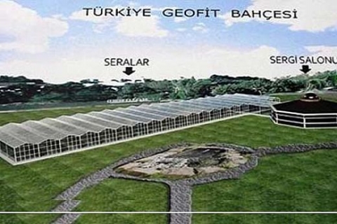 Türkiye'nin ilk, dünyanın en büyük geofit bahçesi oluşturulacak!