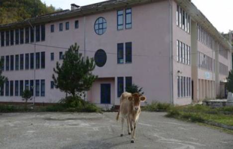 Zonguldak Dereköy'de 600 öğrenci kapasiteli okul kapatıldı!