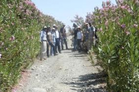  Kültür Yolu Projesi, restorasyonu tamamlanan Belen Kahvesi'nden başlıyor! 