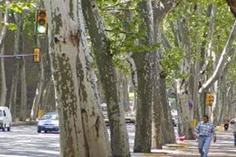 Torunlar GYO'dan Maltepe'de 20 milyon dolarlık yeni proje!